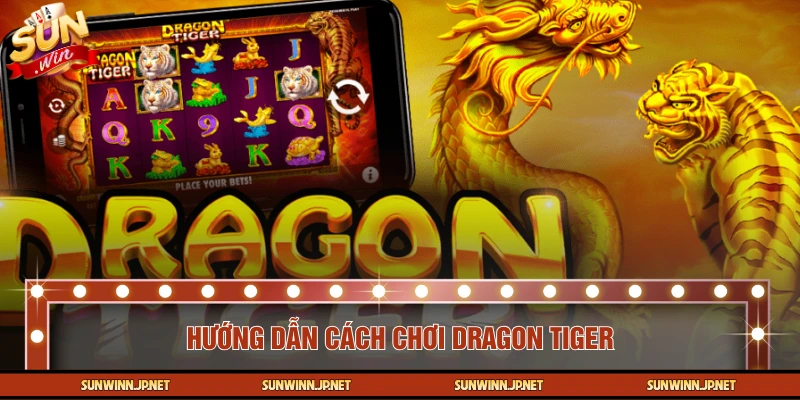 Cách chơi Rồng Hổ cơ bản cho người mới 
