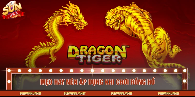 Áp dụng thêm mẹo cùng cách chơi Rồng Hổ 